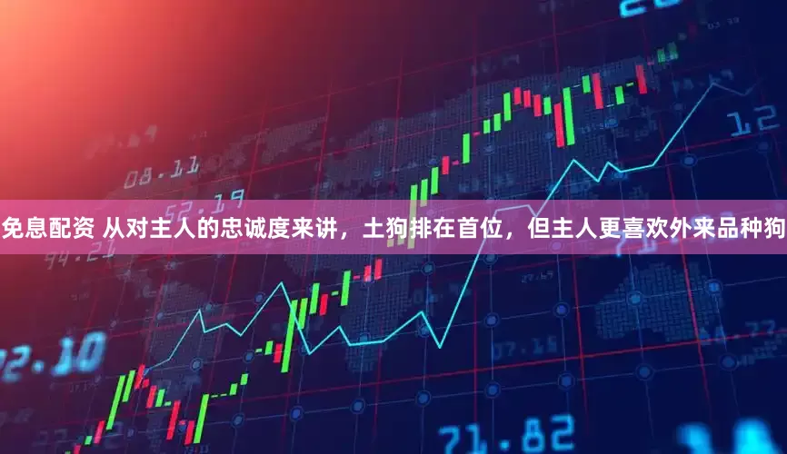 免息配資 從對主人的忠誠度來講，土狗排在首位，但主人更喜歡外來品種狗