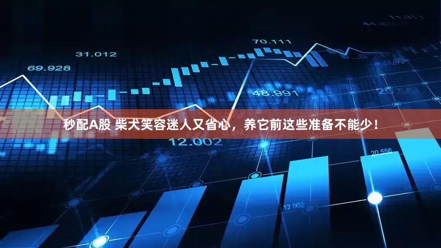 秒配A股 柴犬笑容迷人又省心，養它前這些準備不能少！