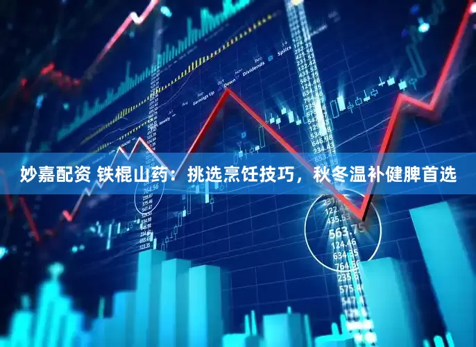 妙嘉配資 鐵棍山藥：挑選烹飪技巧，秋冬溫補健脾首選