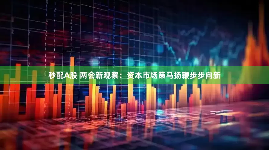 秒配A股 兩會新觀察：資本市場策馬揚鞭步步向新